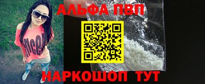 крисы Нальчик