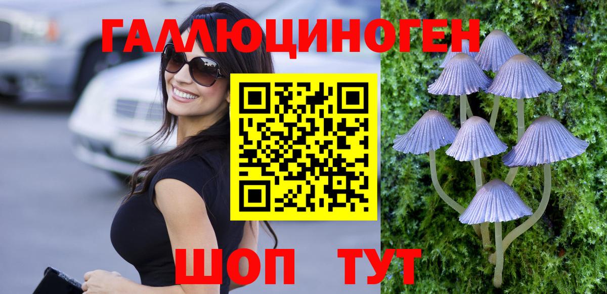 Псилоцибиновые грибы Psilocybine cubensis Чехов