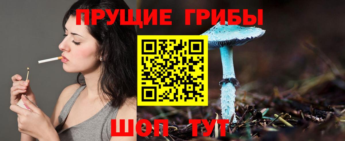 Чехов  Псилоцибиновые грибы мухоморы  Вход с VPN  Псилоцибиновые грибы мухоморы 